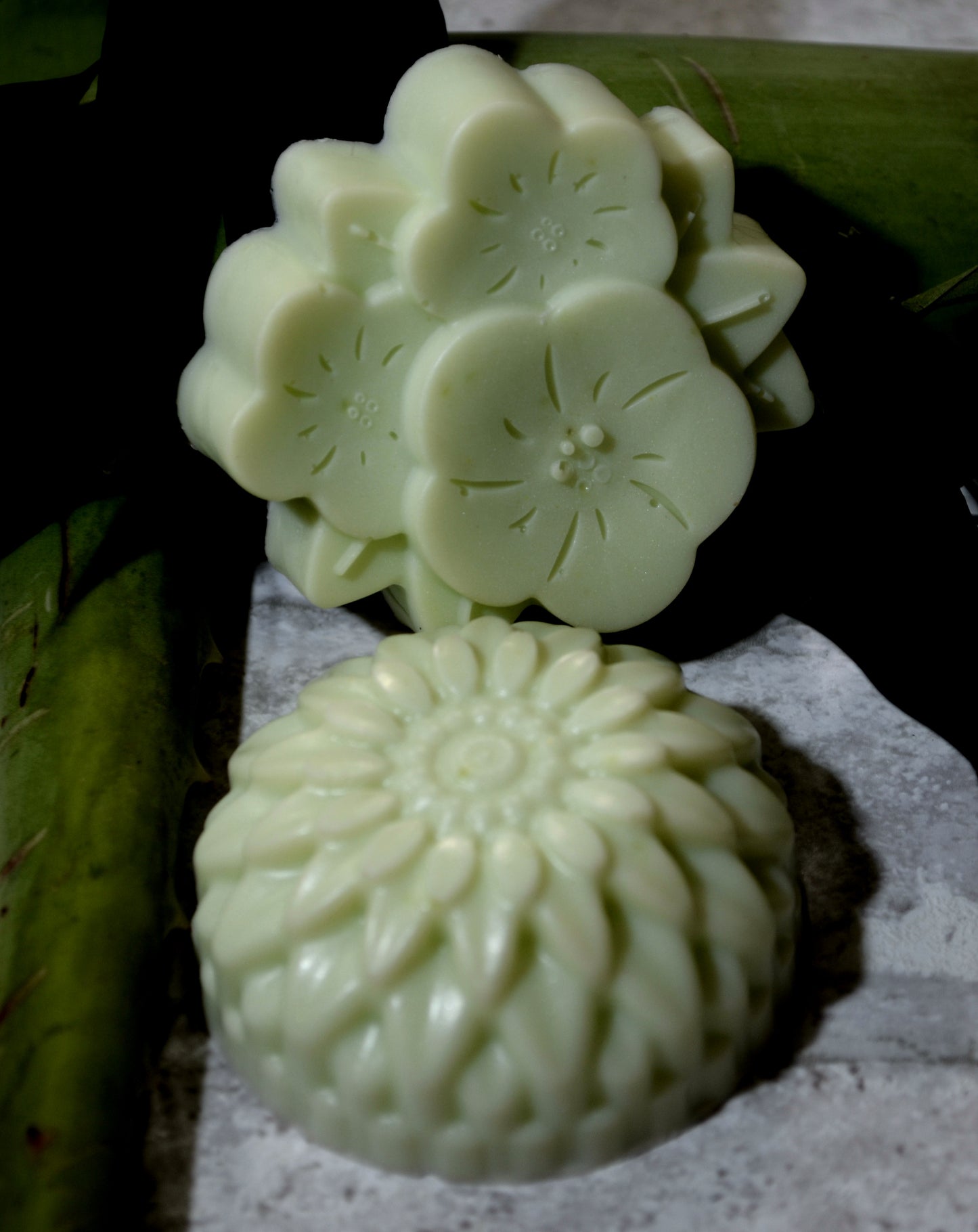 Jabón Natural de Aloe Vera | Natural Aloe Vera Soap.