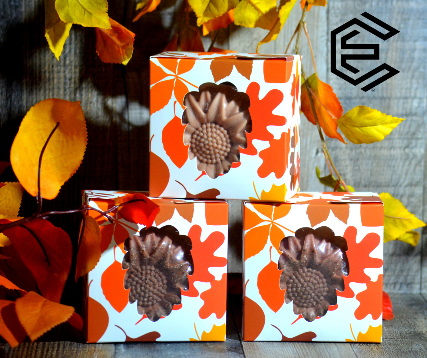 Caja Sorpresa de Otoño, HOJAS | Autumn Surprise Box | LEAVES.