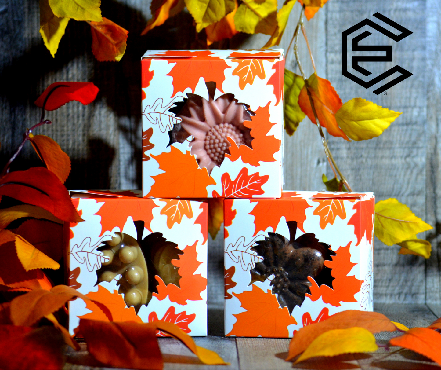 Caja Sorpresa de Otoño, HOJAS | Autumn Surprise Box | LEAVES.